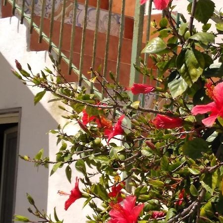 Вилла Casale Hibiscus Санта-Мария-дель-Фокалло Экстерьер фото